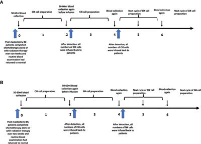 Adjuvant alternative cytokine-induced killer cell combined with natural killer cell immunotherapy improves the prognosis of post-mastectomy breast cancer